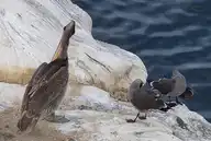 75548