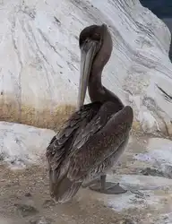 75554