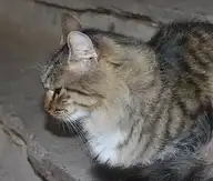 75569