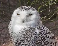 76430