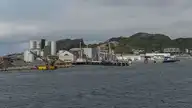 77049