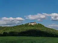 77470