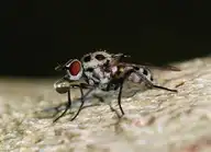 7761