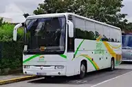 77934