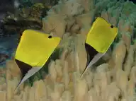 7794
