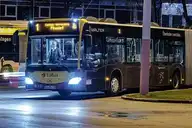 78041
