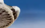 7805