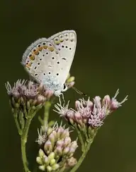 78374
