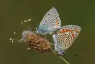 78375