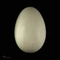 79242
