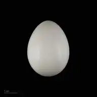 79250