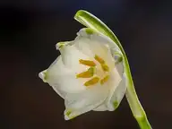 7963