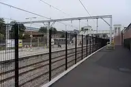 79694