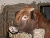 79734