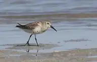 79760