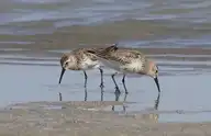 79761