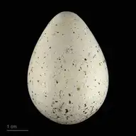 79774