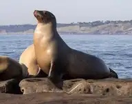 79809