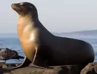 79813