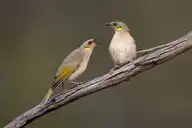 8002