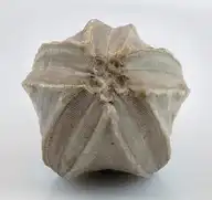 8013