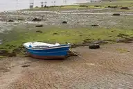 80241