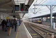 80294