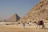 80323