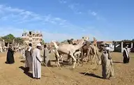 80345