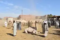 80348