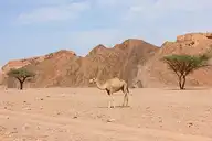 80357