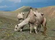 80395
