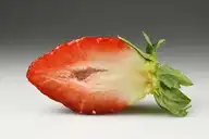 8070