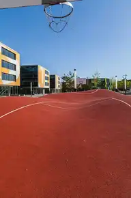 81024