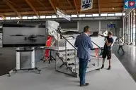 81037