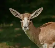 8112