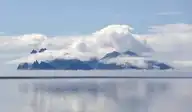81502