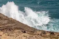 81537