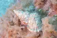 82076