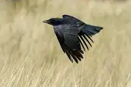 82573