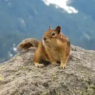 8340