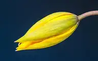 838