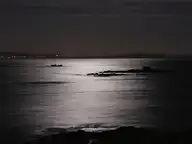 83991