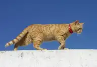 84766