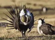8476