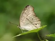 8510