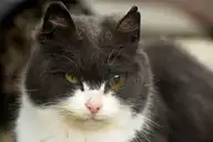 85888