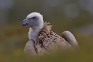 8613
