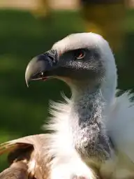 8618