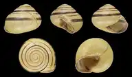 86982